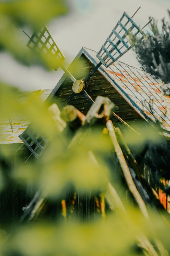 Фотография автора Алиса Исаева