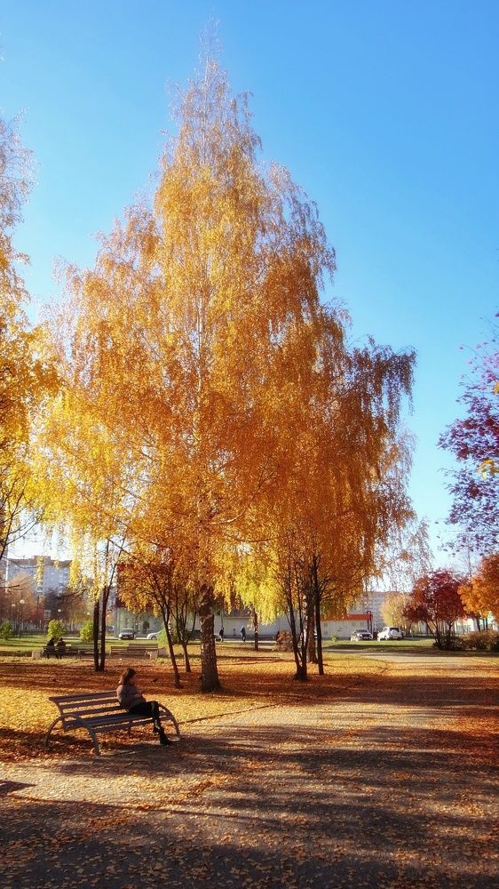 Photograph by Елена Силантьева