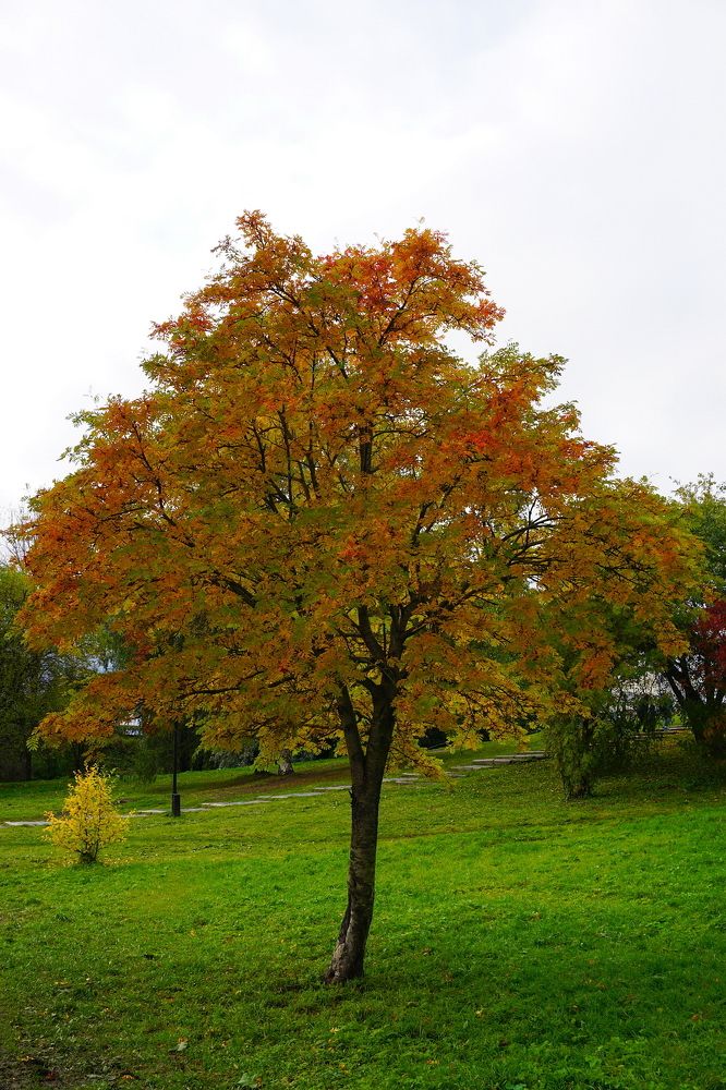 Photograph by Игорь Семеновский