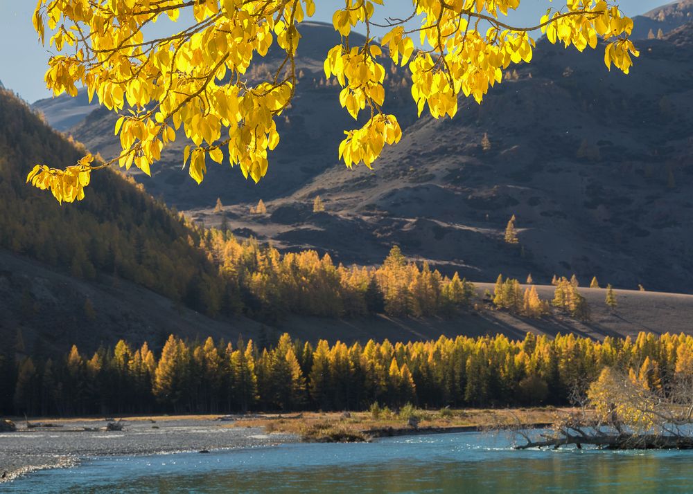 Photograph by Марина Маликова