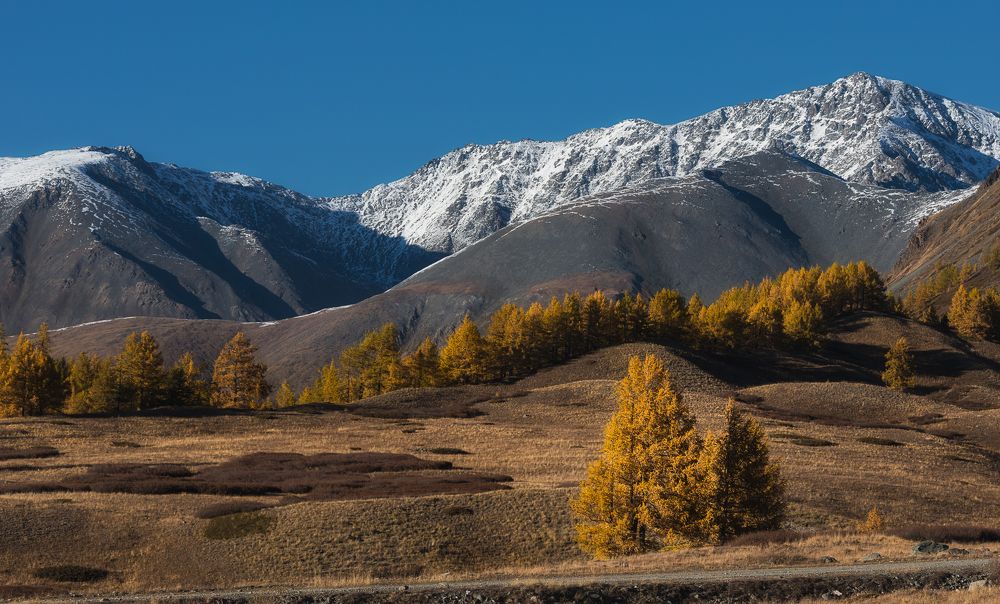 Photograph by Марина Маликова