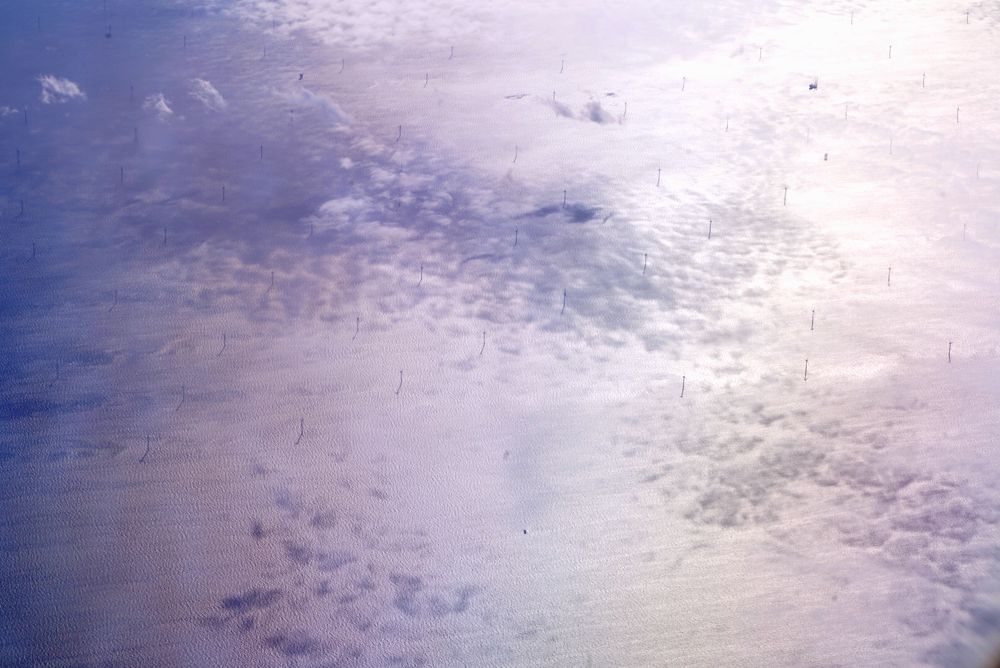 Фотография автора OVIDIU-IOAN TICU