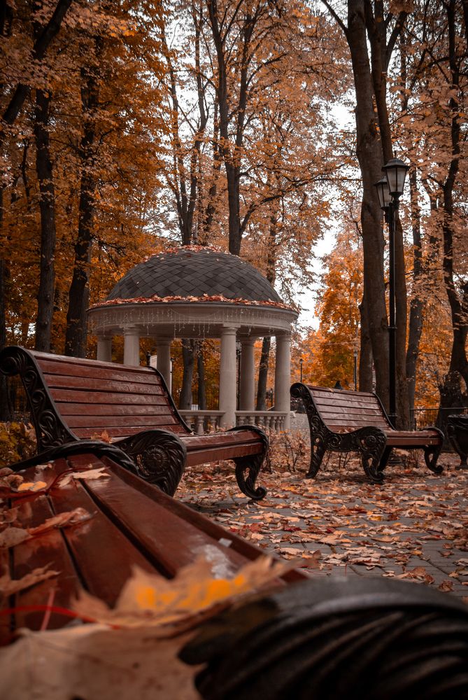 Photograph by Бондарева Татьяна