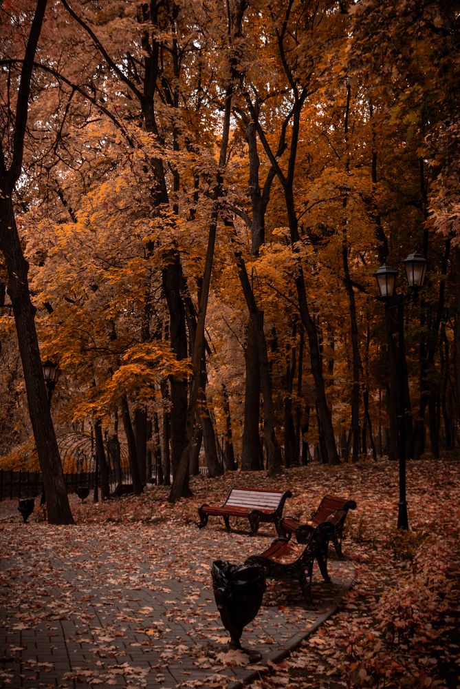 Photograph by Бондарева Татьяна