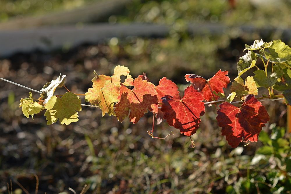 Photograph by Алексей Volg