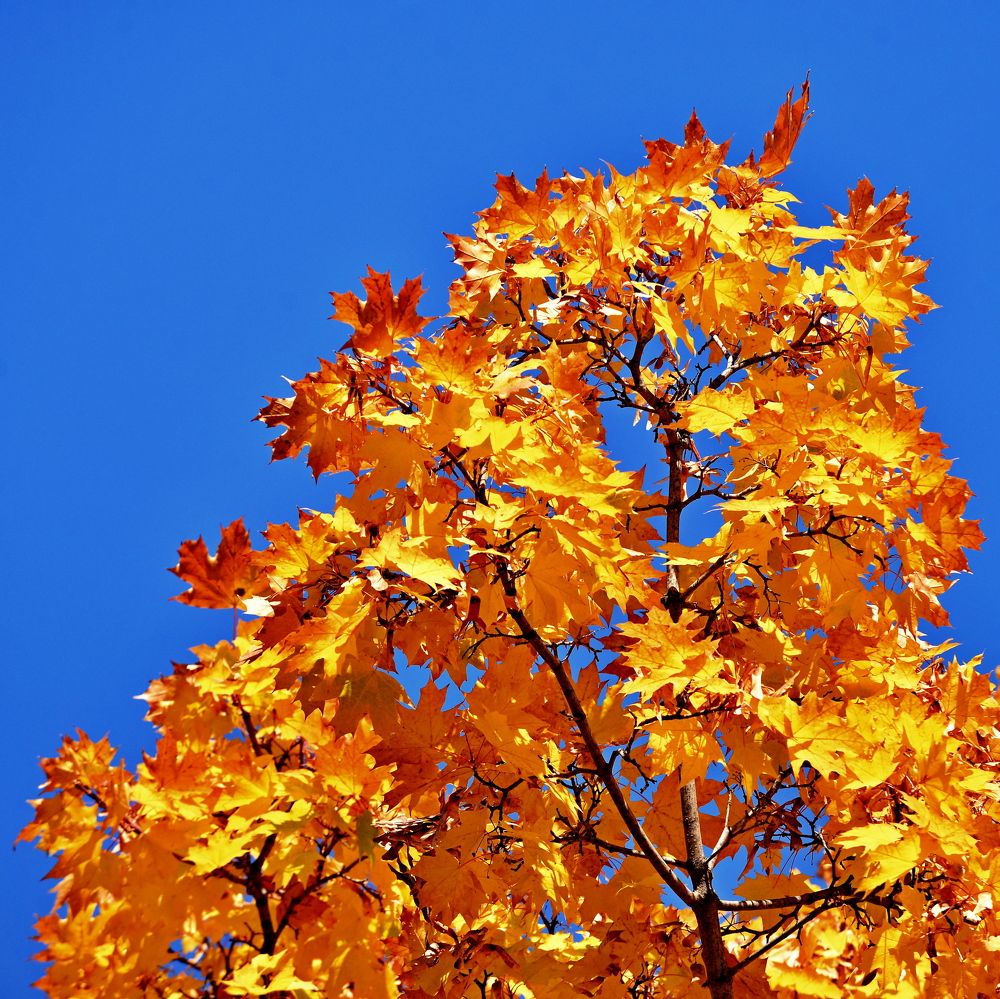 Photograph by Алексей Volg