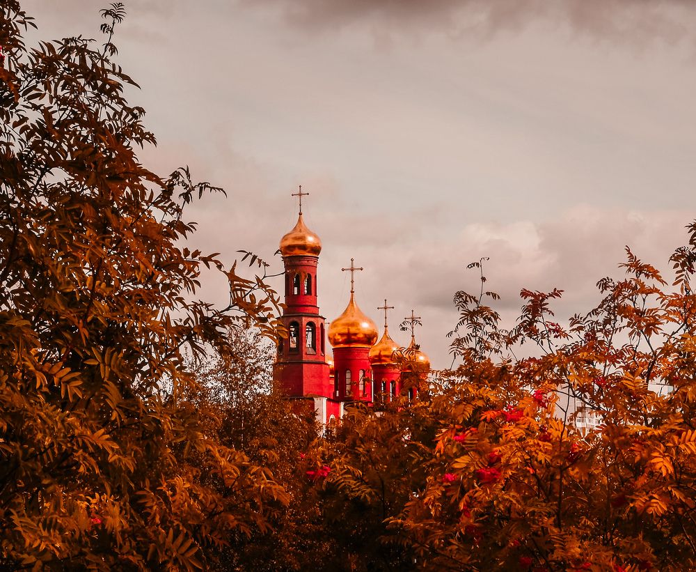 Фотография автора Светлана