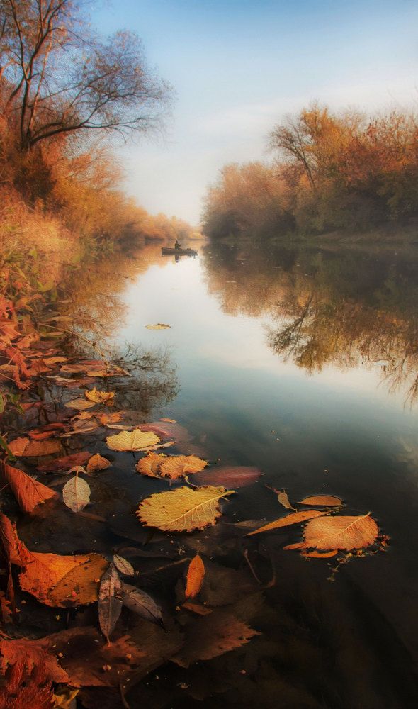 Photograph by Ирина Васильева