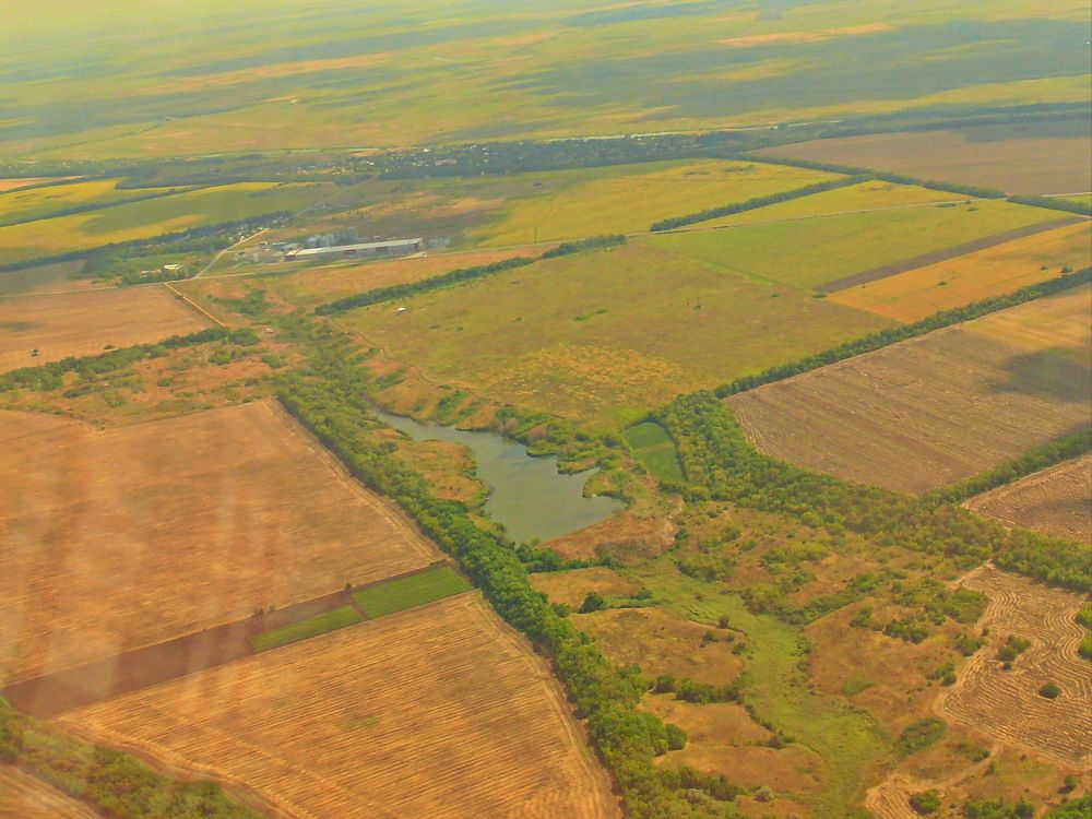 Фотография автора Анатолий Борисов