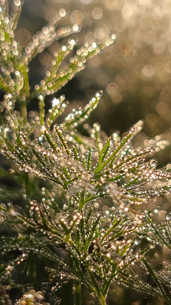 Photograph by Татьяна Пятернёва