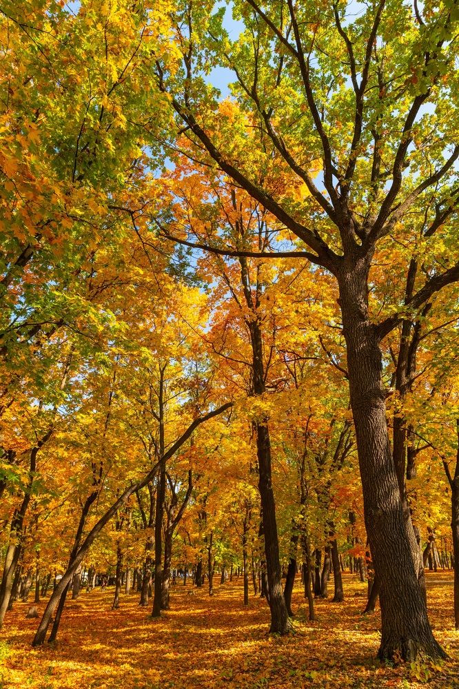 Photograph by Андрей Пшеничников