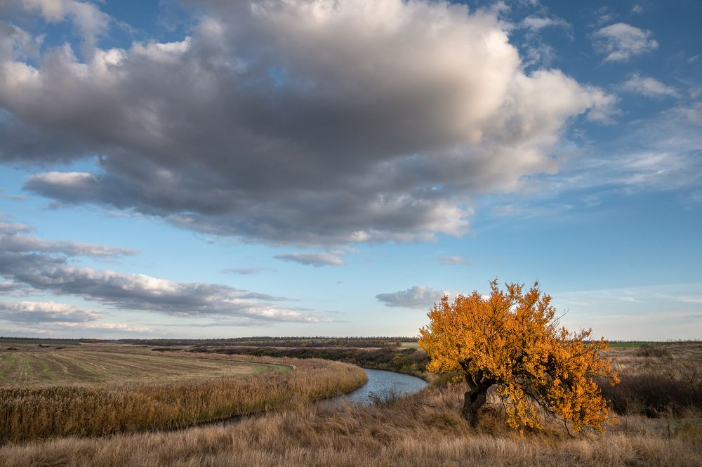 Photograph by Ирина Васильева