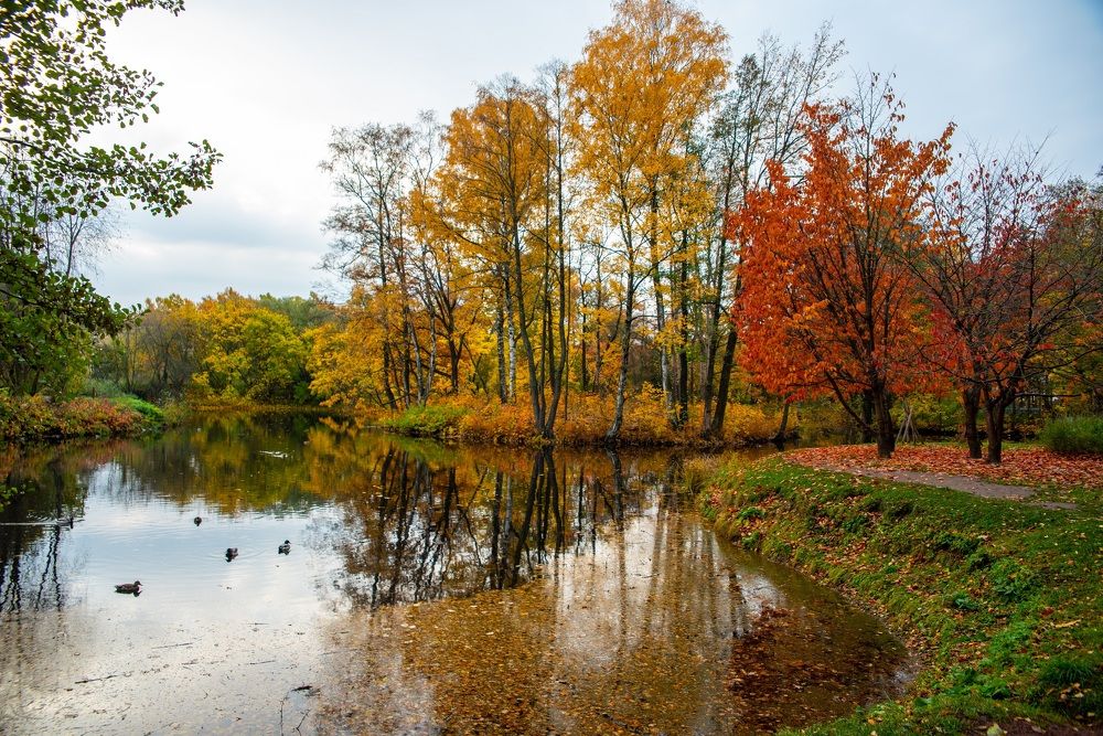 Photograph by Андрей Пшеничников