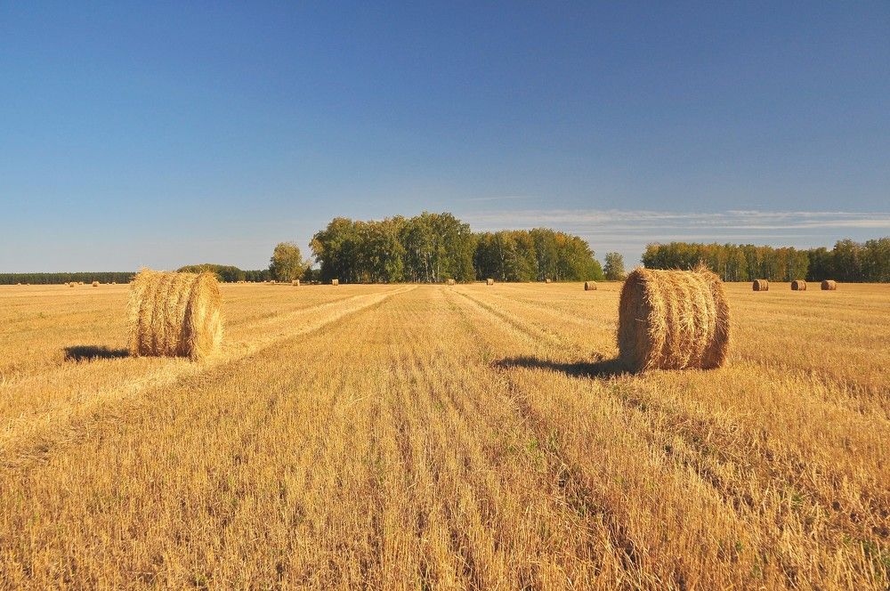 Фотография автора Зыбин Владимир