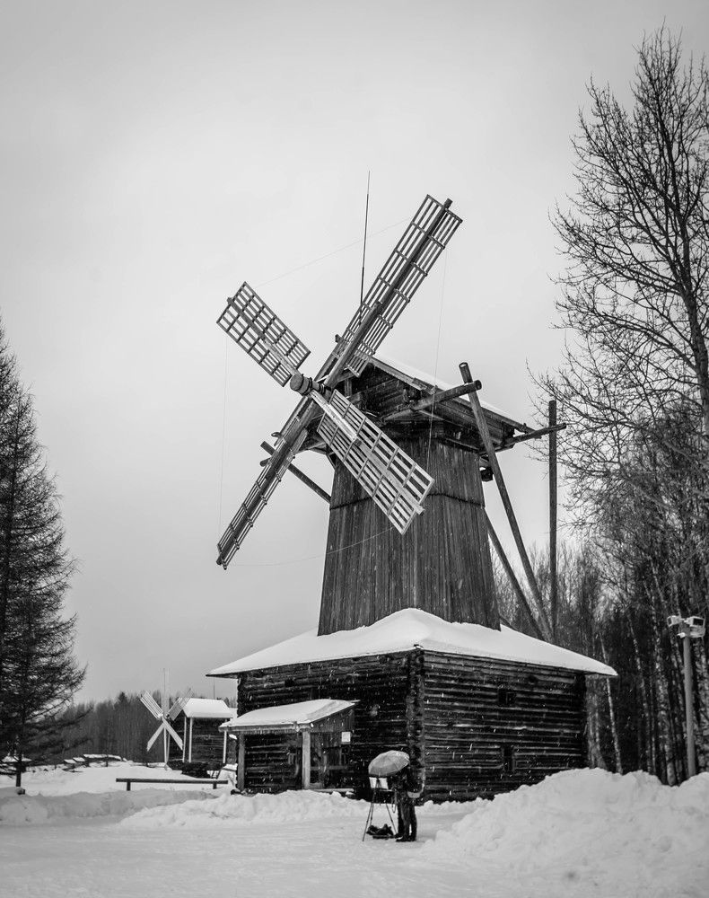 Photograph by Ольга Сафронова