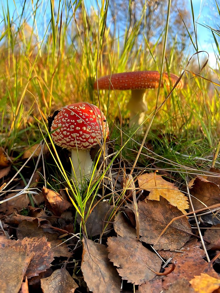 Фотография автора Татьяна Савранчук