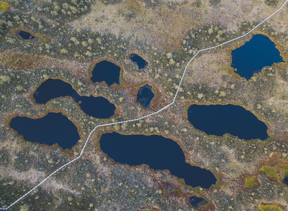 Photograph by ukeiro