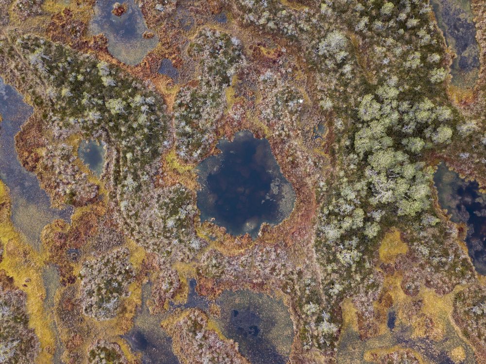 Photograph by ukeiro