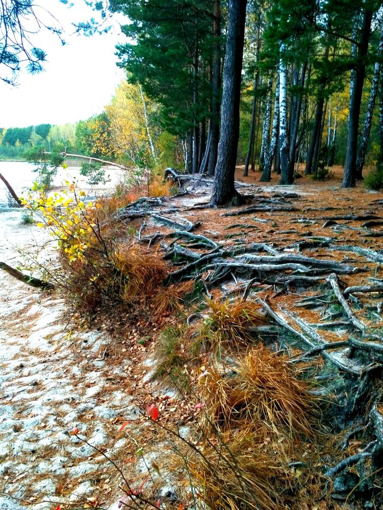 Фотография автора Елена Рузинова