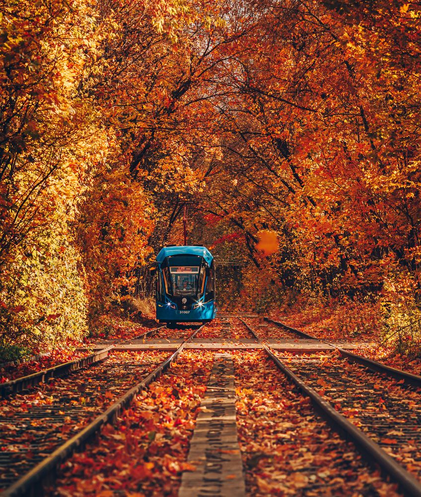 Фотография автора Rom@shkin