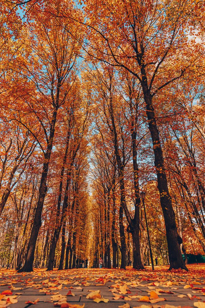 Фотография автора Rom@shkin