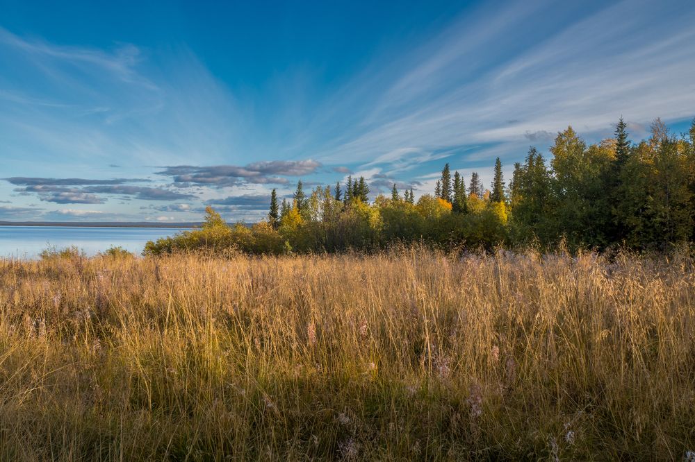 Photograph by Шейко Анна