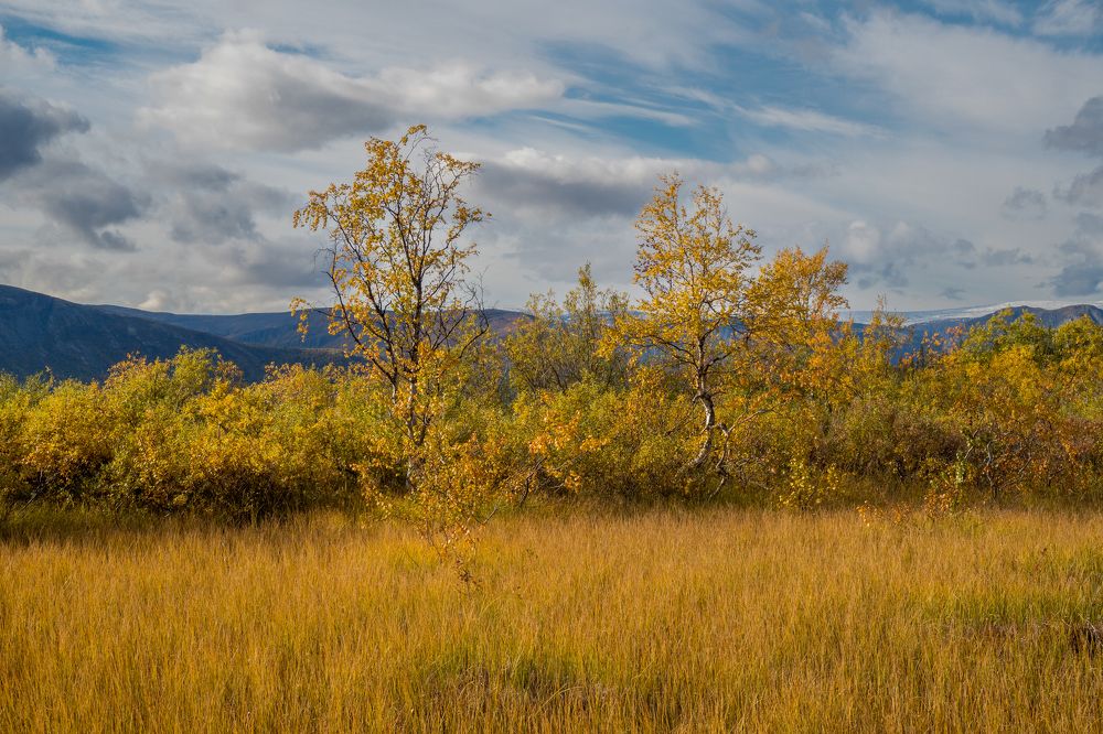 Photograph by Шейко Анна