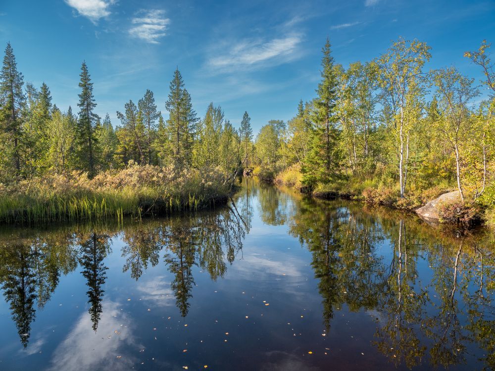 Фотография автора Шейко Анна