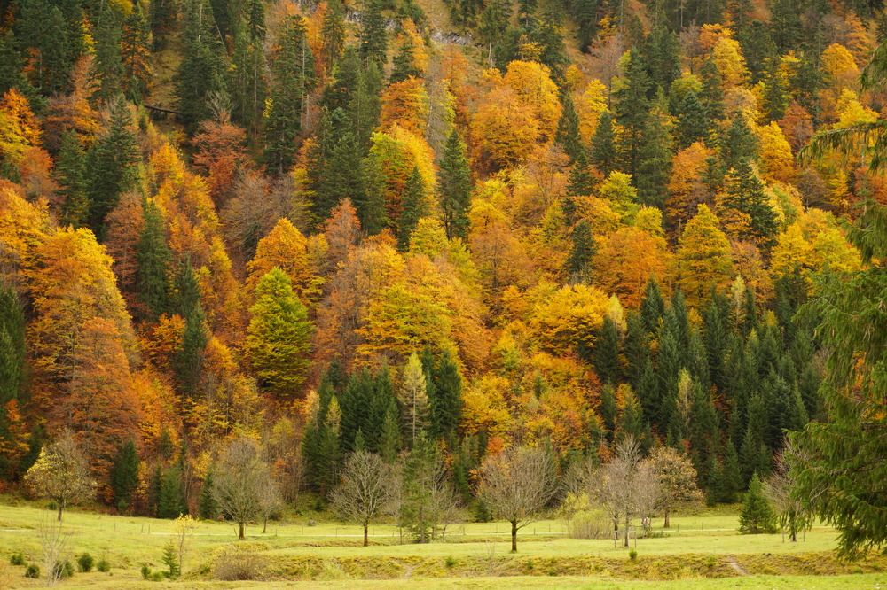 Фотография автора Liudmila Kiermeier