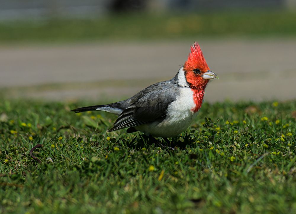 Photograph by Walter Fabián Gutiérrez