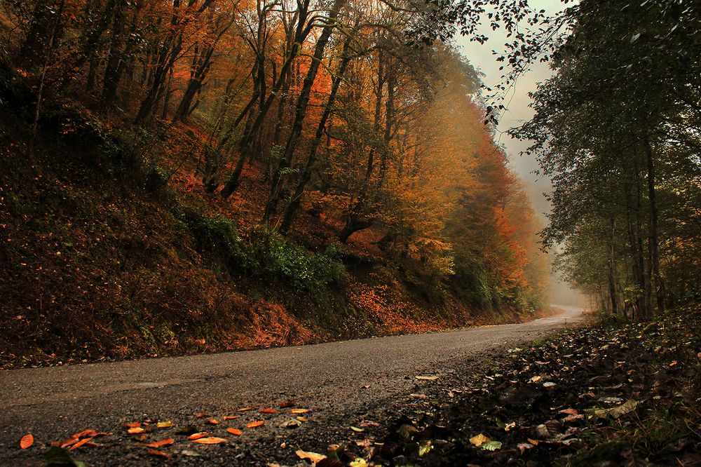 Photograph by hasan sorena jouri