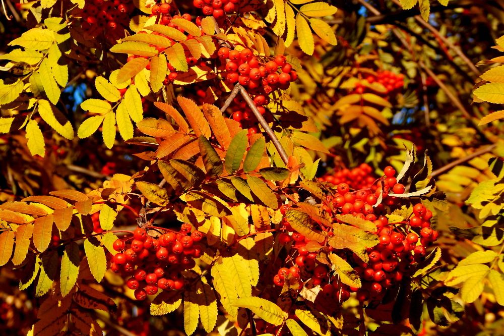 Photograph by Дмитрий Симагин