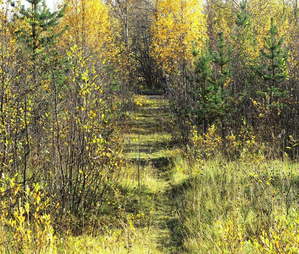 Photograph by Светлана Зотова