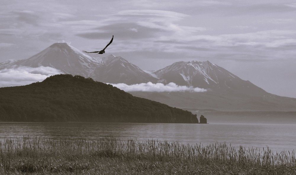 Под бумажным небом