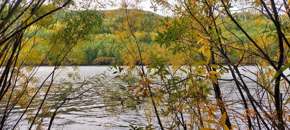 Photograph by Анастасия