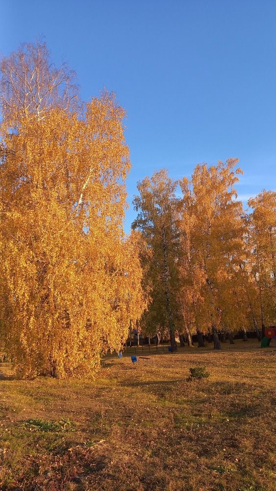 Photograph by Ольга Булдакова