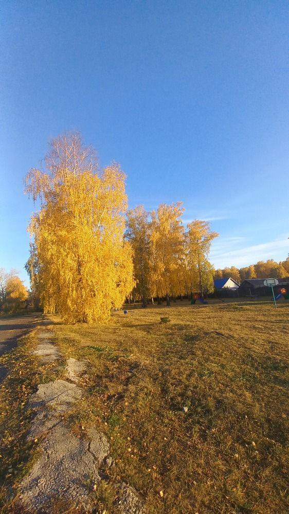 Photograph by Ольга Булдакова