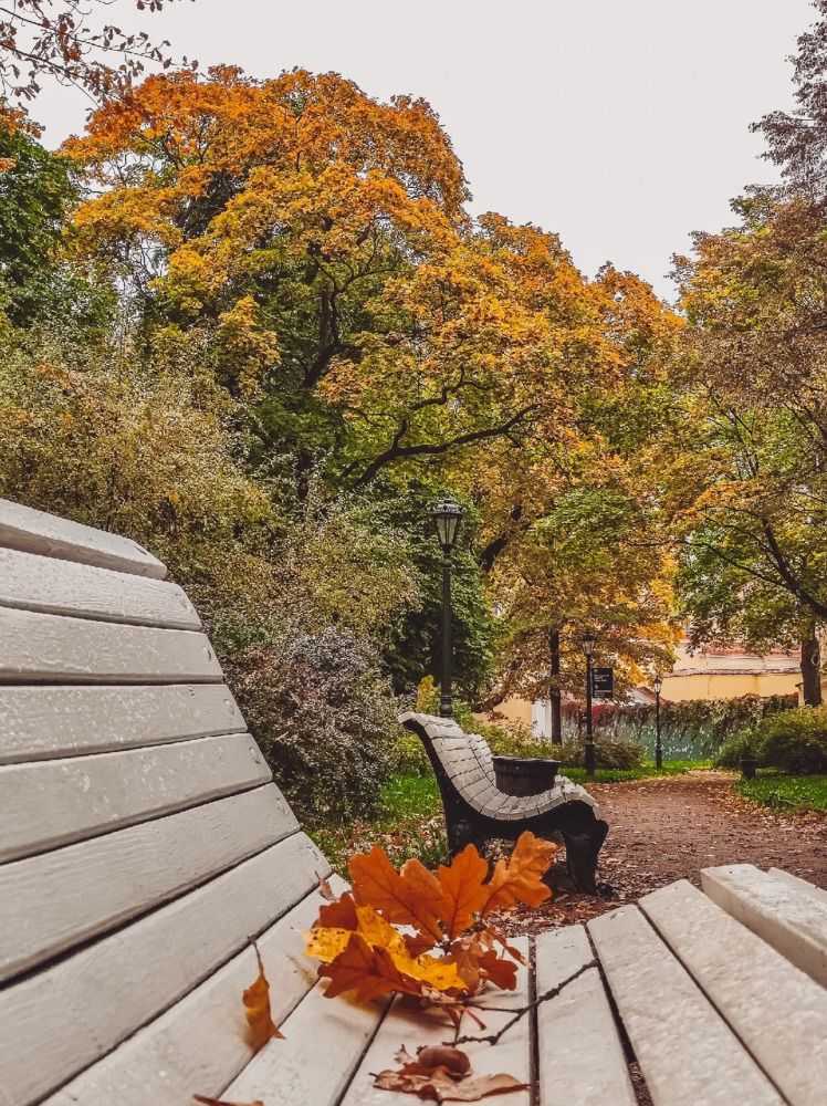 Photograph by Олеся Хижко