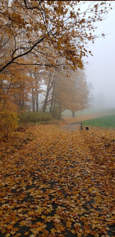 Photograph by Dennise Treijs