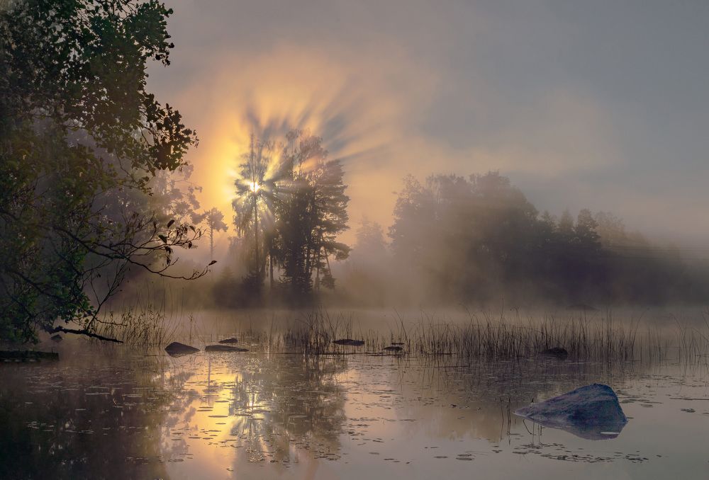 Фотография автора Ольга Егунова