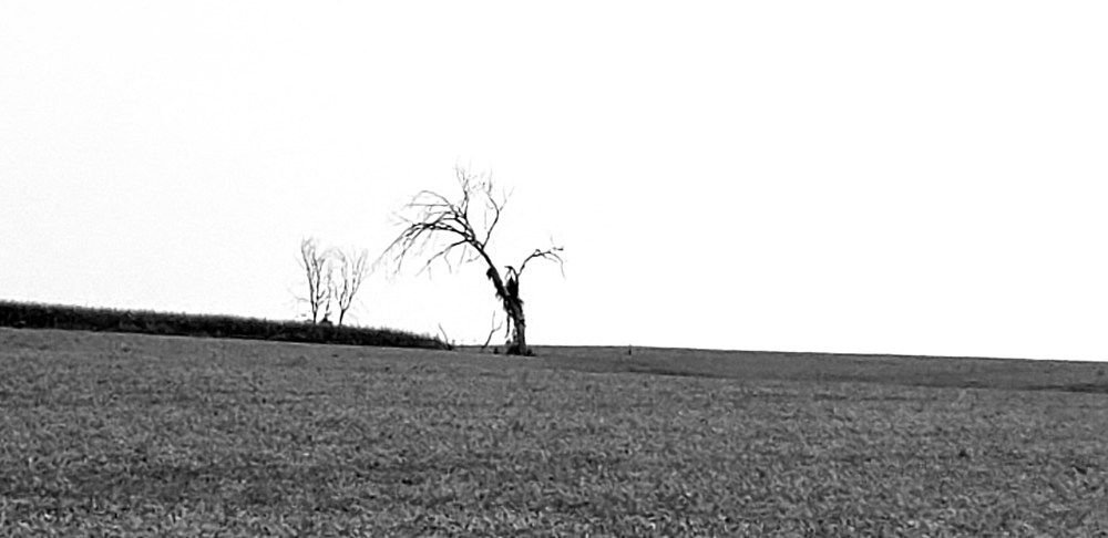 Photograph by Dennise Treijs