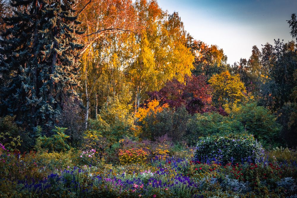 Photograph by Щепанов Дмитрий