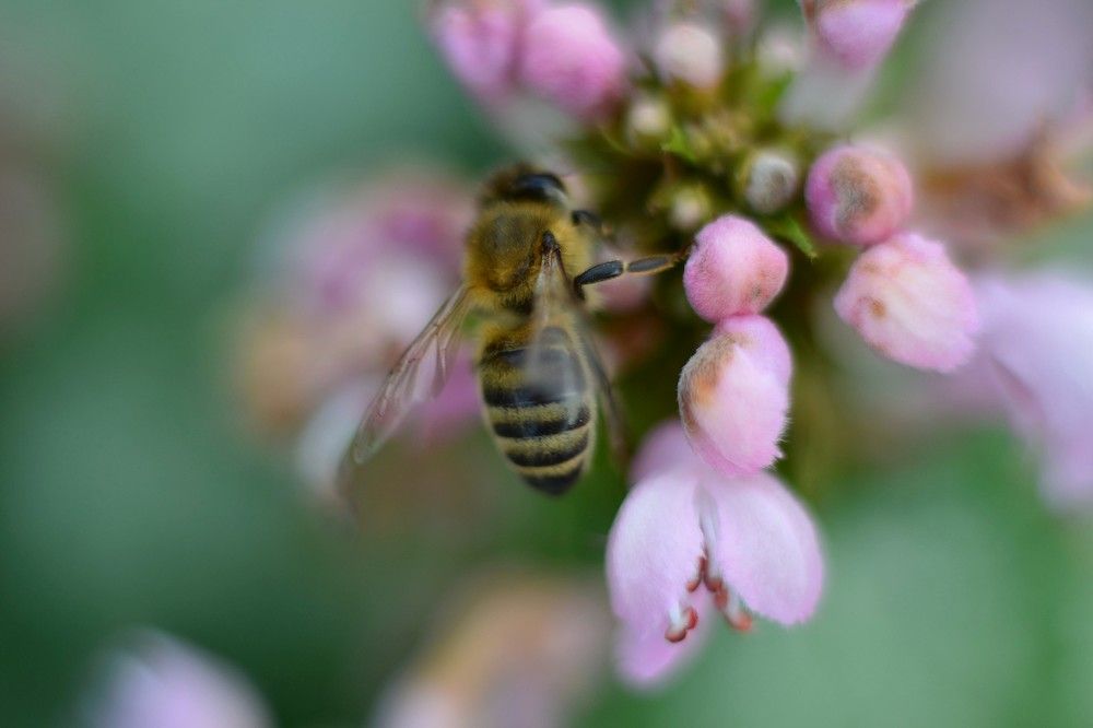 Photograph by Olga Mishenina