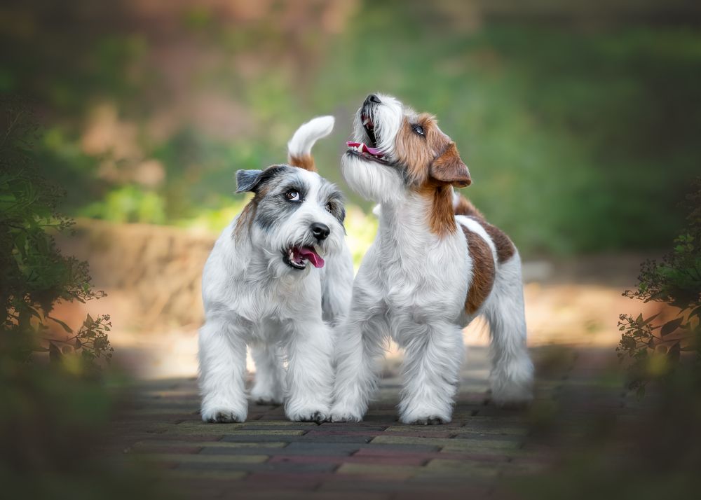 Photograph by Наталья Орел