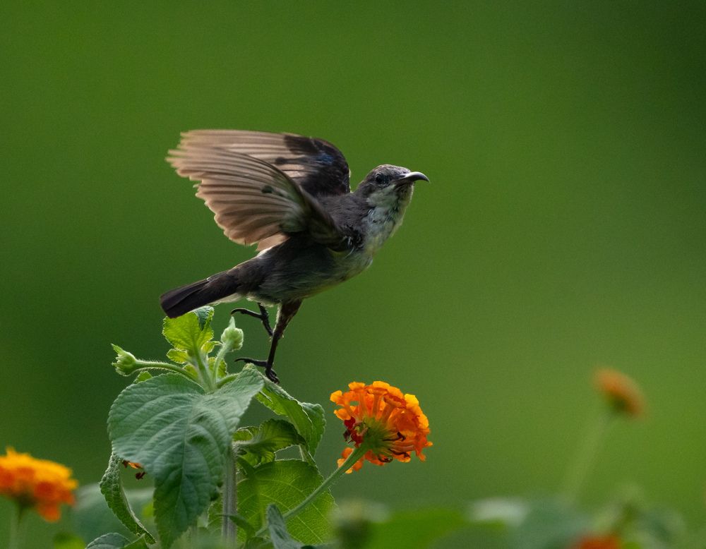 Photograph by Devashish Gupta