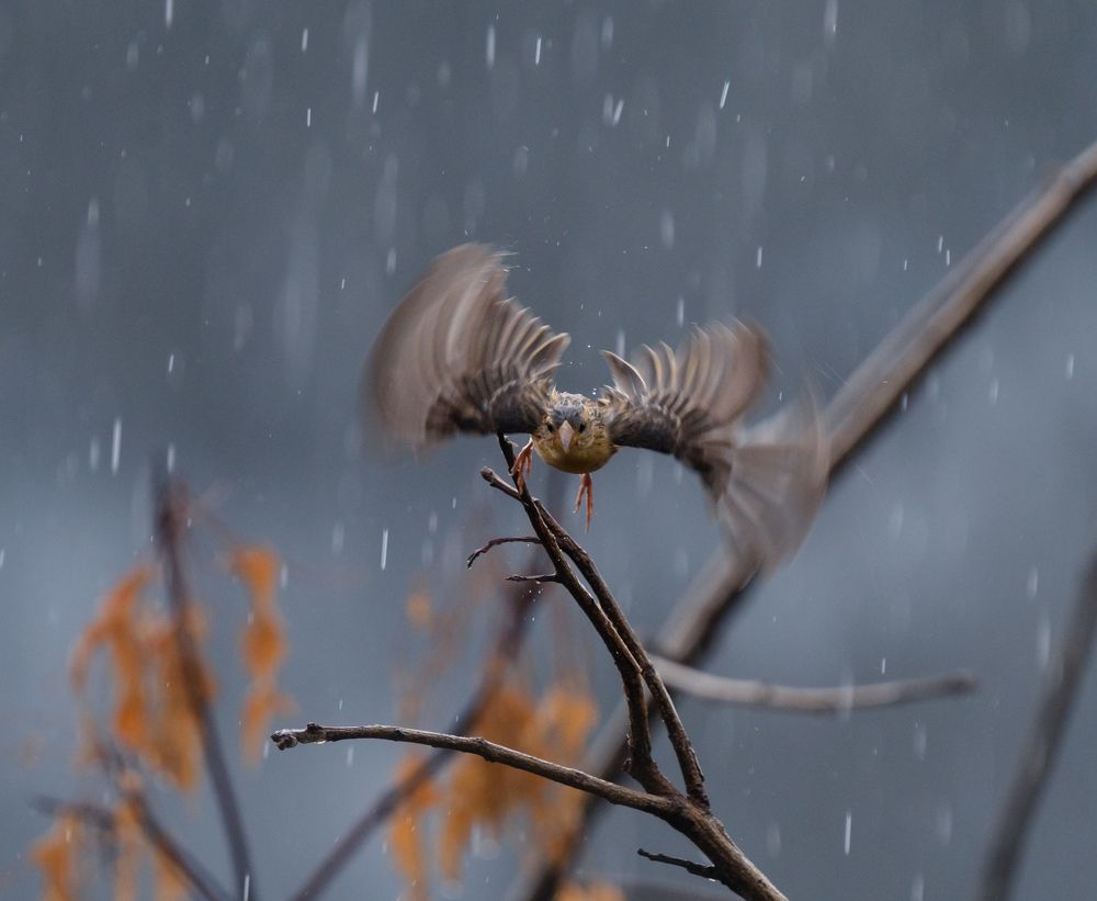 Photograph by Devashish Gupta