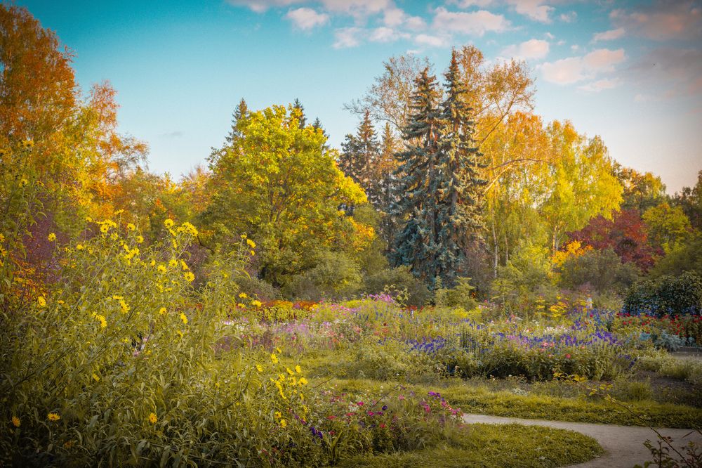 Photograph by Щепанов Дмитрий