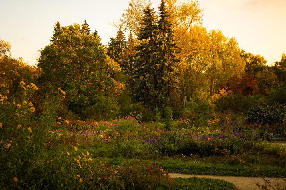 Photograph by Щепанов Дмитрий