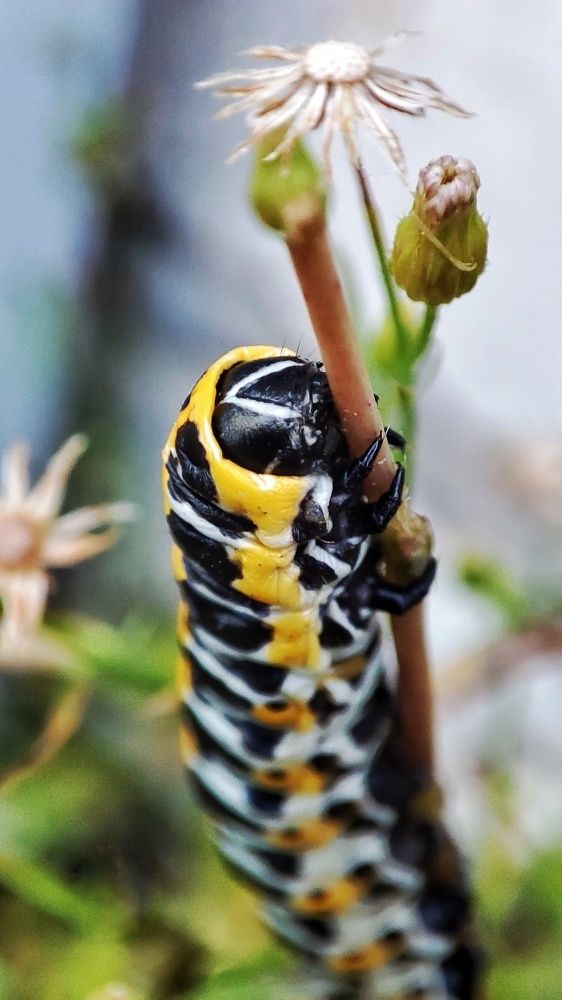 Photograph by Дина Желанова