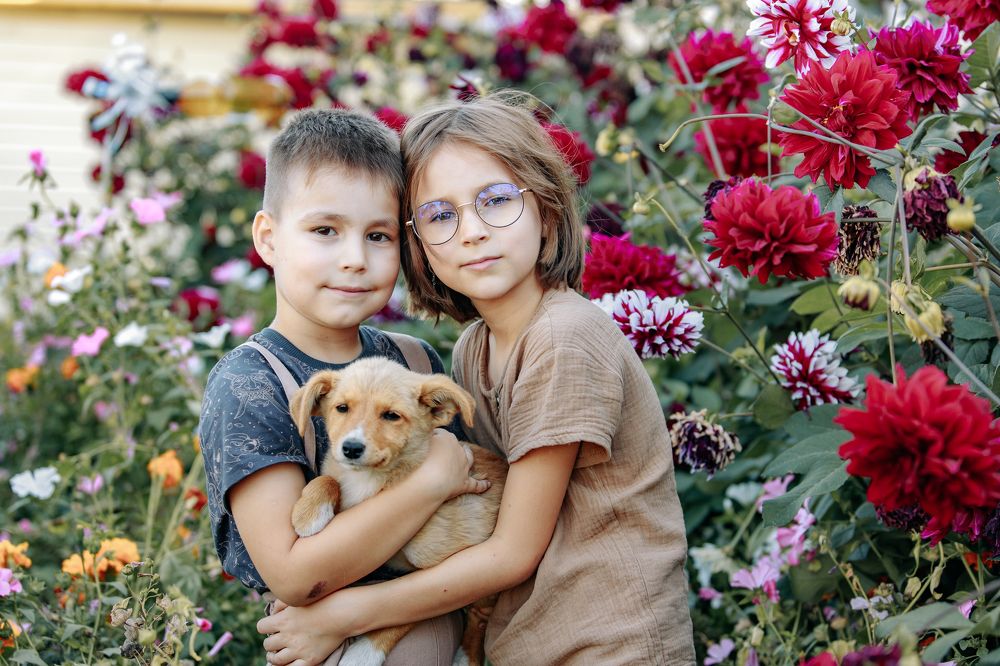 Photograph by Наталия Александрова